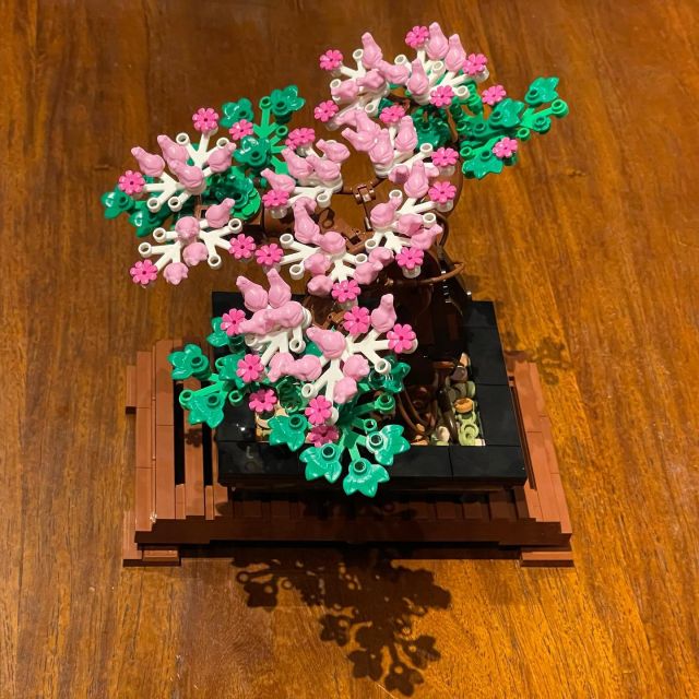 Introduced mum to LEGO set building today with the bonsai! We decided to combine the green and pink foliage.
Also, I was a bit excited to get a teal brick separator 😆 I've only had orange ones so far.#lego #afol #legobotanicalcollection