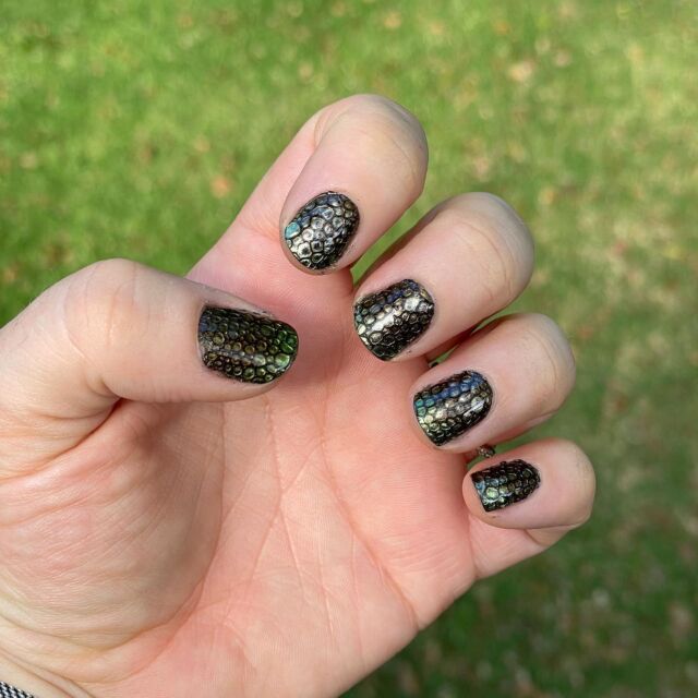 Happy Halloween! The first photo is my dragon scales nails to celebrate today 🐉
The rest are some of my favourite manicures over the last year of using the @sistaco nail system.
#sistaco #nailart