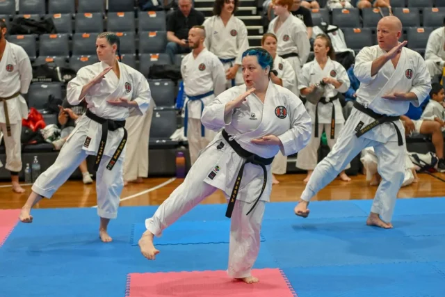 Had a great Saturday at the GKR Karate State Titles! I was a sub for @jamesxuereb.me in the Blue Flame Dragons thanks to his sprained ankle; we won first round and came fourth overall!
I did a bunch of judging and officiating, which was really good.
I didn’t place in my individual events, but had a very fun final round of kumite (sparring).

#gkrkarate #karate